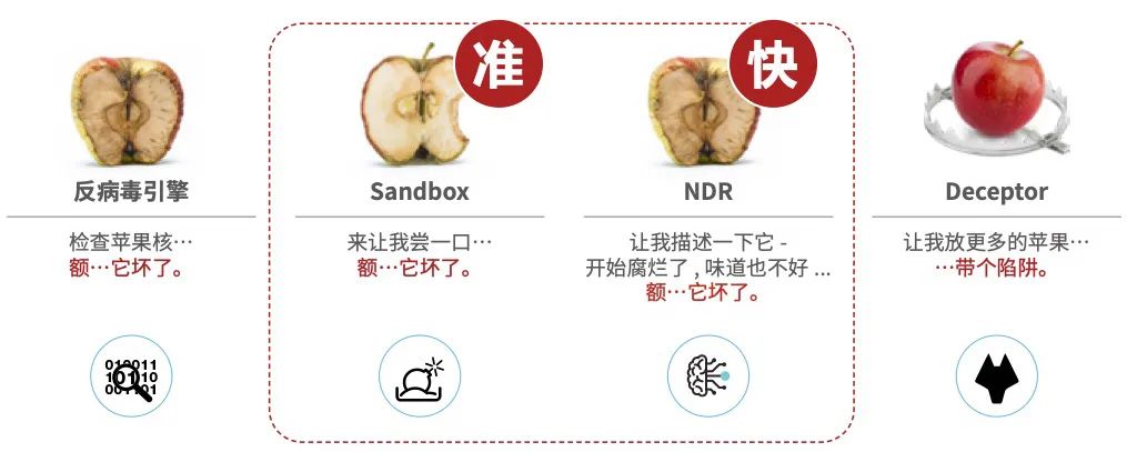 香港内部精准马料十码